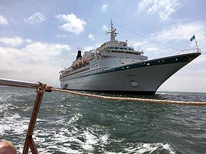 Albatros