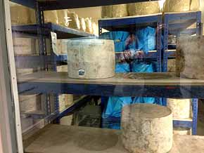 Cheddar