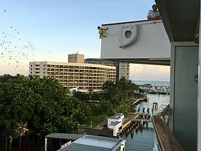 Cairns
