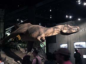 Royel Tyrrell Museum