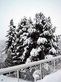 Winter in Dhünn