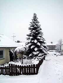 Winter in Dhünn