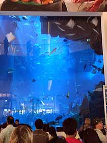 Aquarium