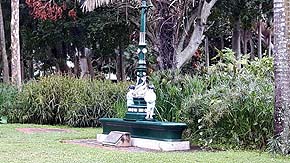 Botanischer Garten