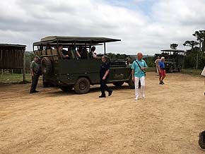 Safari