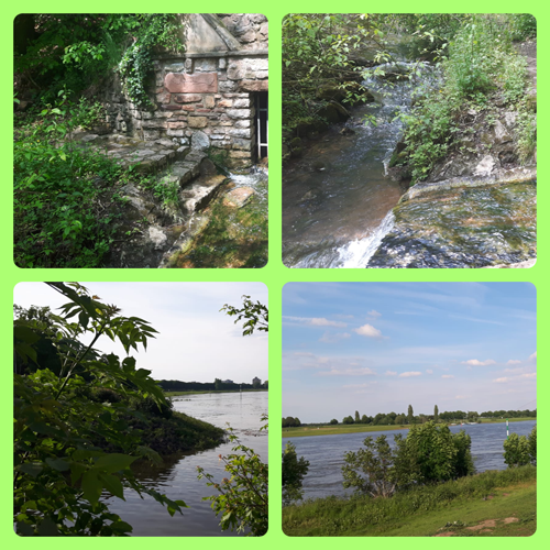 Bilder