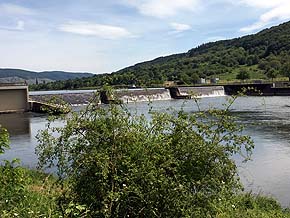Mosel