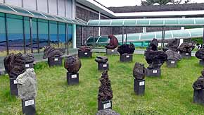 Museum