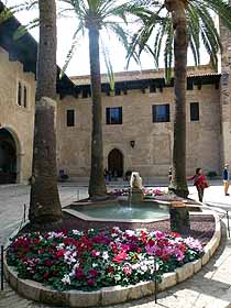 Palma