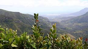 Mauritius
