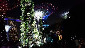 Light Show