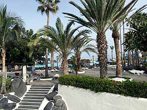Puerto de la Cruz