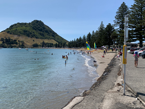 Tauranga